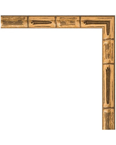 Зеркало Evoform Definite 44х34 BY 1330 в багетной раме - Золотой бамбук 24 мм