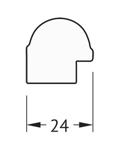 Зеркало Evoform Definite 44х34 BY 1330 в багетной раме - Золотой бамбук 24 мм