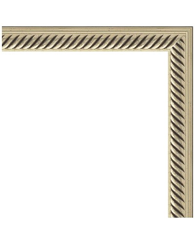 Зеркало Evoform Definite 45х35 BY 1326 в багетной раме - Витое серебро 28 мм