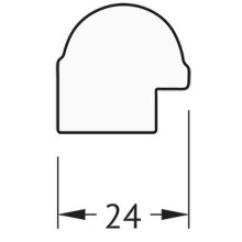 Зеркало Evoform Definite 97х47 BY 0695 в багетной раме - Золотой бамбук 24 мм