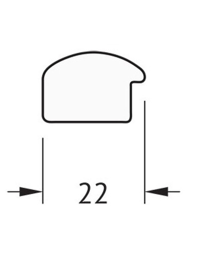 Зеркало Evoform Definite 98х48 BY 0690 в багетной раме - Махагон 22 мм