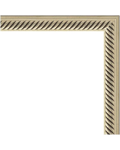 Зеркало Evoform Definite 78х58 BY 0639 в багетной раме - Витое серебро 28 мм