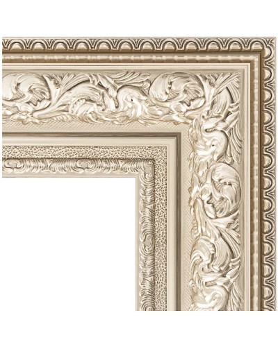 Зеркало Evoform Exclusive Floor 205х115 BY 6176 с фацетом в багетной раме - Виньетка серебро 109 мм