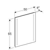Зеркало 50х65 см Geberit Option Basic 500.581.00.1
