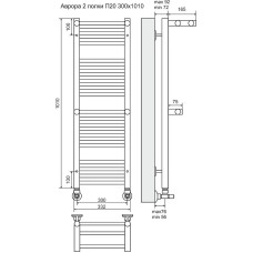 Водяной полотенцесушитель Terminus Аврора П20 300x1010 4660059582146 с полкой Хром