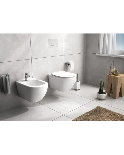 Комплект биде с инсталляцией Ideal Standard Tesi D386801 Белый