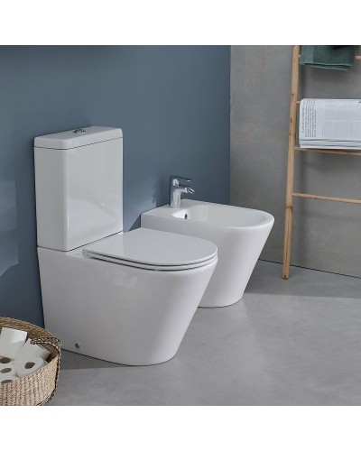 Биде Jacob Delafon Rodin+ EBJ0002-00 Белое