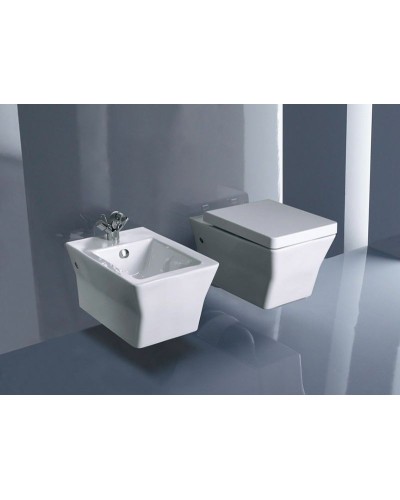 Биде Jacob Delafon Reve E4812-00 подвесное Белое