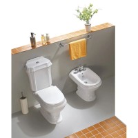 Напольное биде Cezares King Palace CZR-618-T