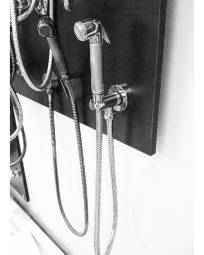 Гигиенический душ Bossini Nikita B00650.030 Хром