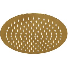 Верхний душ WasserKRAFT Sauer A208 Золото