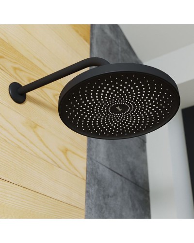 Верхний душ Iddis SpaHome SPA26BPi64 Черный