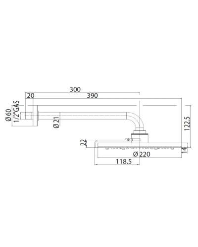 Верхний душ 220 мм Bossini Nebulizair H19625G.030