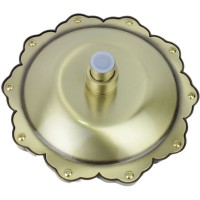 Верхний душ Bronze de Luxe 1914 Бронза