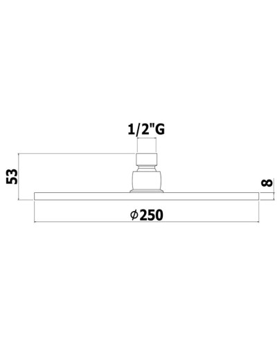 Верхний душ 250 мм Paffoni Master Speciale ZSOF101CR