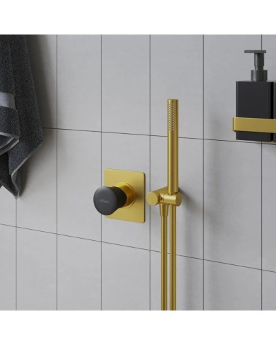 Душевой набор Paini Cox 53PJ440TTP4