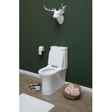 Чаша унитаза-компакта Aquanet Roll-C 210764 без бачка, с сиденьем Микролифт