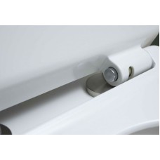 Чаша унитаза-компакта Aquanet Roll-C 210764 без бачка, с сиденьем Микролифт