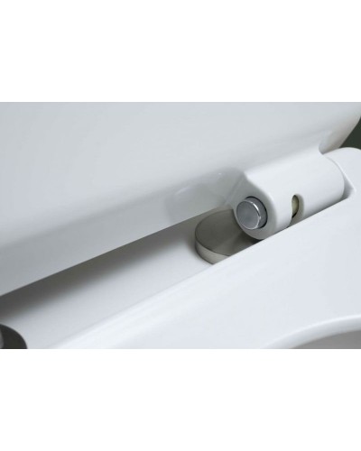 Чаша унитаза-компакта Aquanet Roll-C 210764 без бачка, с сиденьем Микролифт