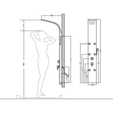 Душевая панель Aquanet Galaxy Black AP40-04 237439 Черный матовый