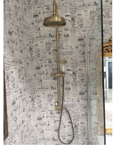 Душевая система Boheme Medici 401 Бронза