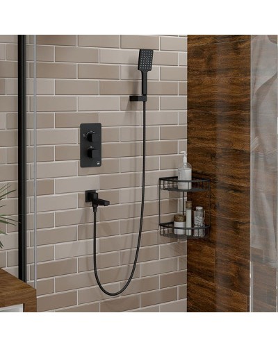 Душевая система Timo Petruma SX-5019/03SM Черный