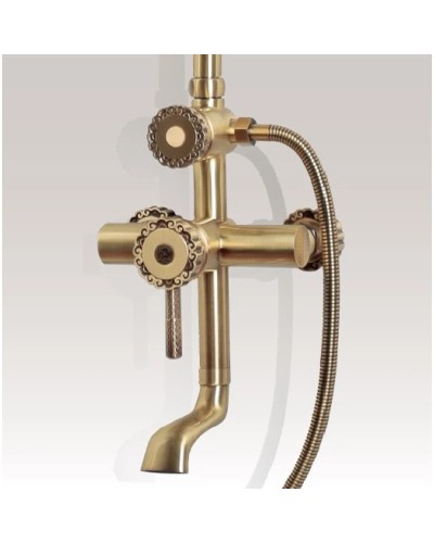 Душевая система Bronze De Luxe Windsor 10120DF