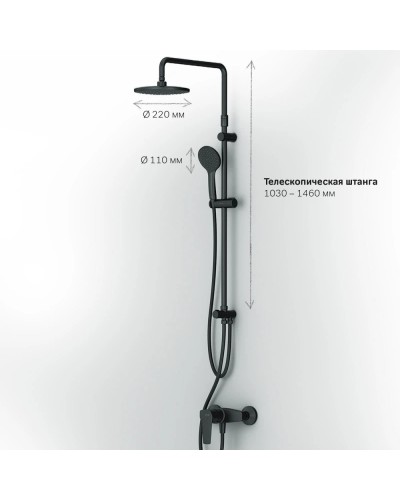 Душевая стойка 220 мм AM.PM Gem F42890A24