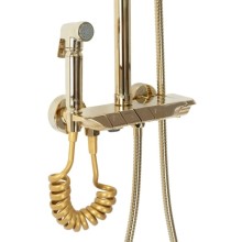 Душевая система 250 мм Rea Max REA-P6617