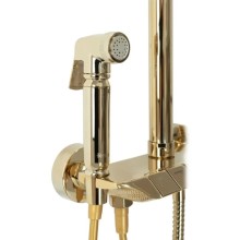 Душевая система 250 мм Rea Max REA-P6617