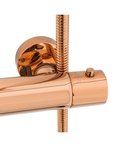 Душевая система 250 мм Rea Lungo REA-P6606