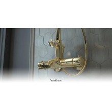 Душевая система 250 мм AltroBagno Beatrice AltroBagnoBeatrice030408Or