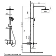 Душевая система 250 мм AltroBagno Costanza AltroBagnoCostanza030419Or