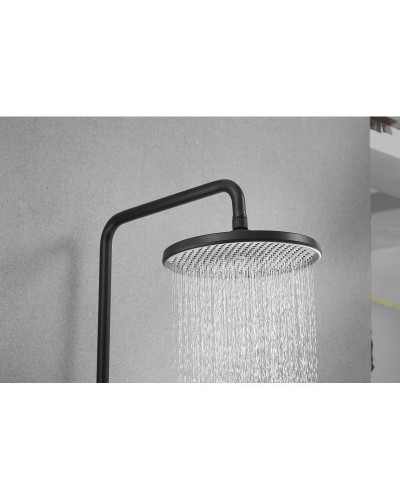 Душевая система 250 мм Rose R3996H