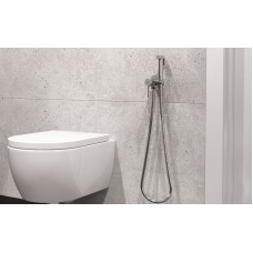 Гигиенический душ со смесителем Excellent Pi Arex AREX.1204CR Хром