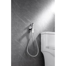 Гигиенический душ со смесителем Allen Brau Infinity 5.21005-00 Хром