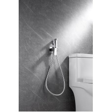 Гигиенический душ со смесителем Allen Brau Infinity 5.21005-00 Хром
