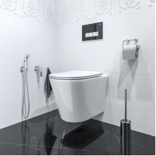 Гигиенический душ со смесителем Iddis Ray RAYSBR2i08 Хром