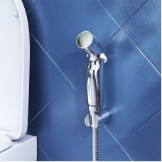 Гигиенический душ Damixa Shower program 760550100 Хром