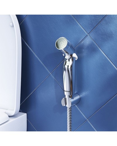 Гигиенический душ Damixa Shower program 760550100 Хром