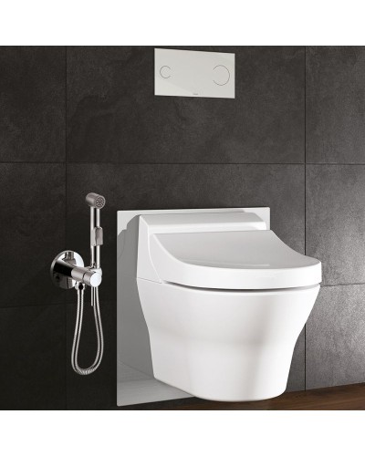 Гигиенический душ со смесителем Rossinka X25-51 Хром