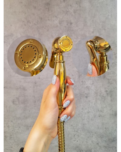 Встраиваемый гигиенический душ AltroBagno Beatrice 060113 Or