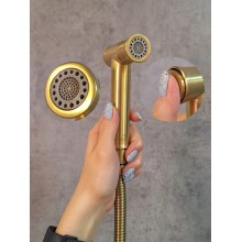 Гигиенический душ AltroBagno Metropoli 060115 OrSp