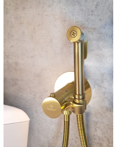 Гигиенический душ с термостатом AltroBagno BM 060403 OrSp