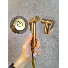 Гигиенический душ с термостатом AltroBagno BM 060403 OrSp