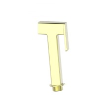 Лейка для гигиенического душа WONZON & WOGHAND, Брашированное золото (WW-88PQ02-BG)