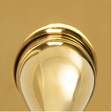 Шланговое подключение WasserKRAFT Sauer A189 Золото