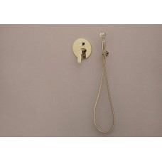 Шланговое подключение Aquanet Classic ARY3010 202251 Золото