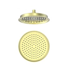 Тропическая лейка для душа WONZON & WOGHAND, Брашированное золото (WW-88DP05-BG)