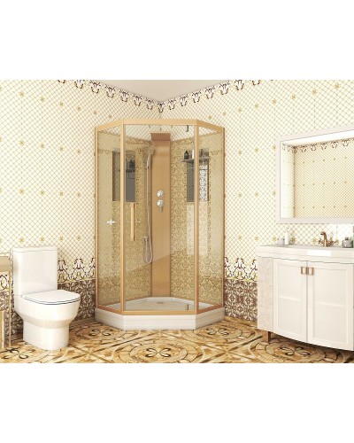 Душевая кабина Niagara Lux NG-7717GBK 100x100 без гидромассажа